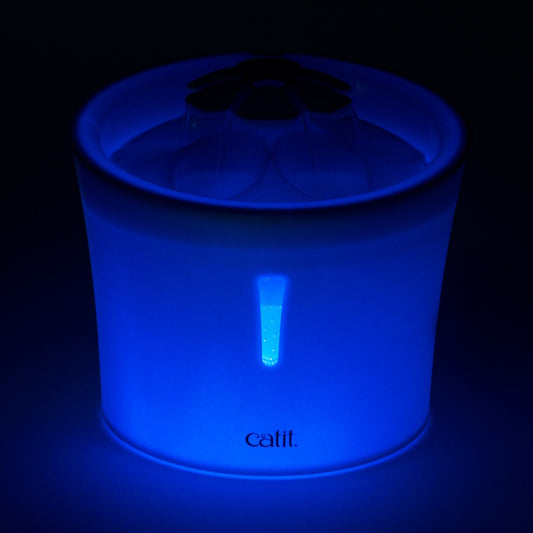 Flower fountain with LED