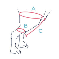 Knee brace Balto Jump for rear right leg