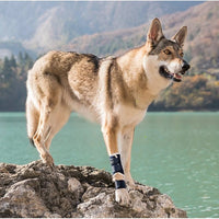 Carpal/tarsal laxity splint