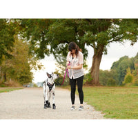 Harness Momentum Control for dogs