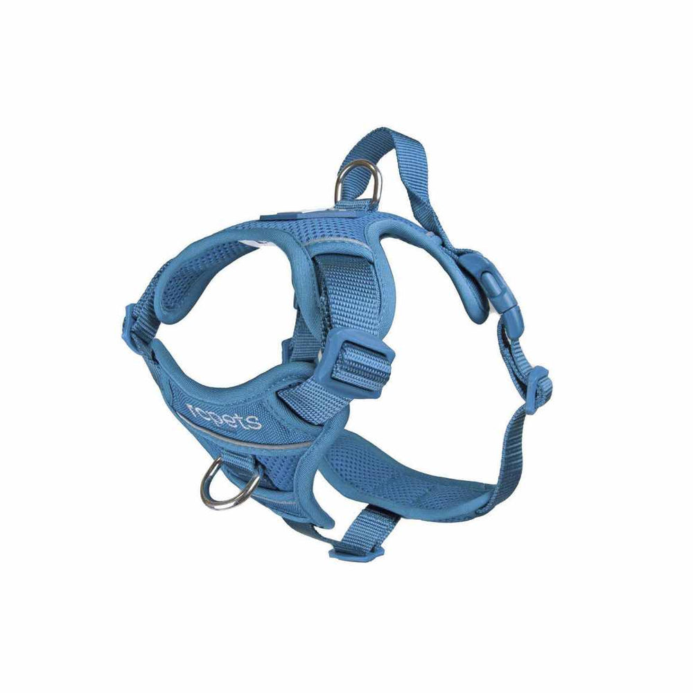 Harness Momentum for dogs