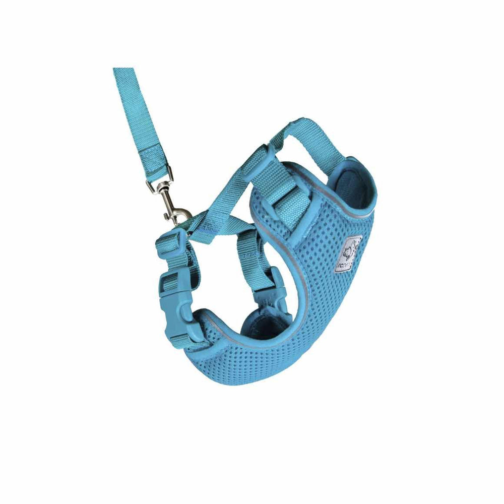 Harness Adventure for cats