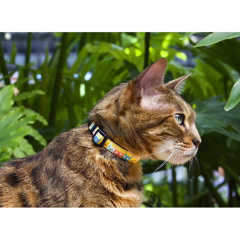 Patterned breakaway collar for cats