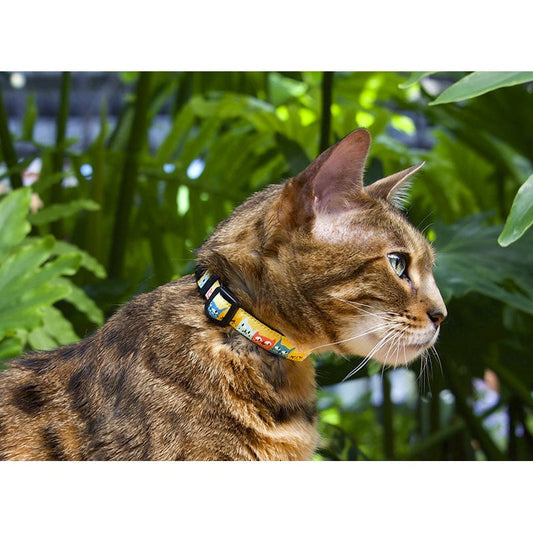 Patterned breakaway collar for cats