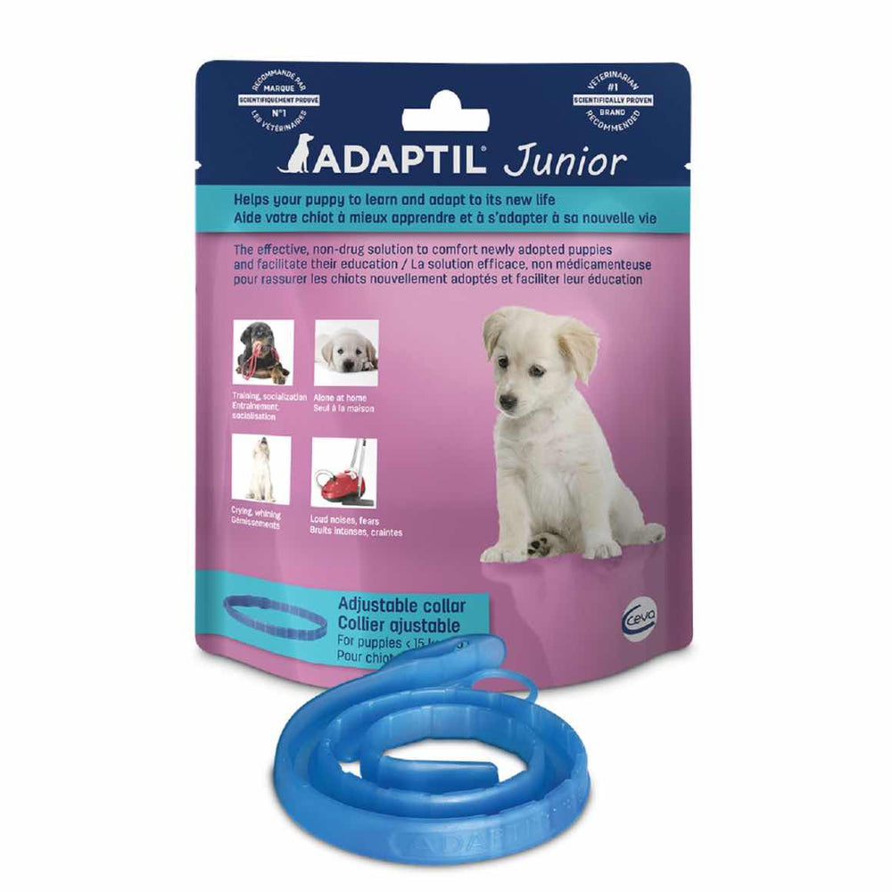 Adaptil junior adjustable collar