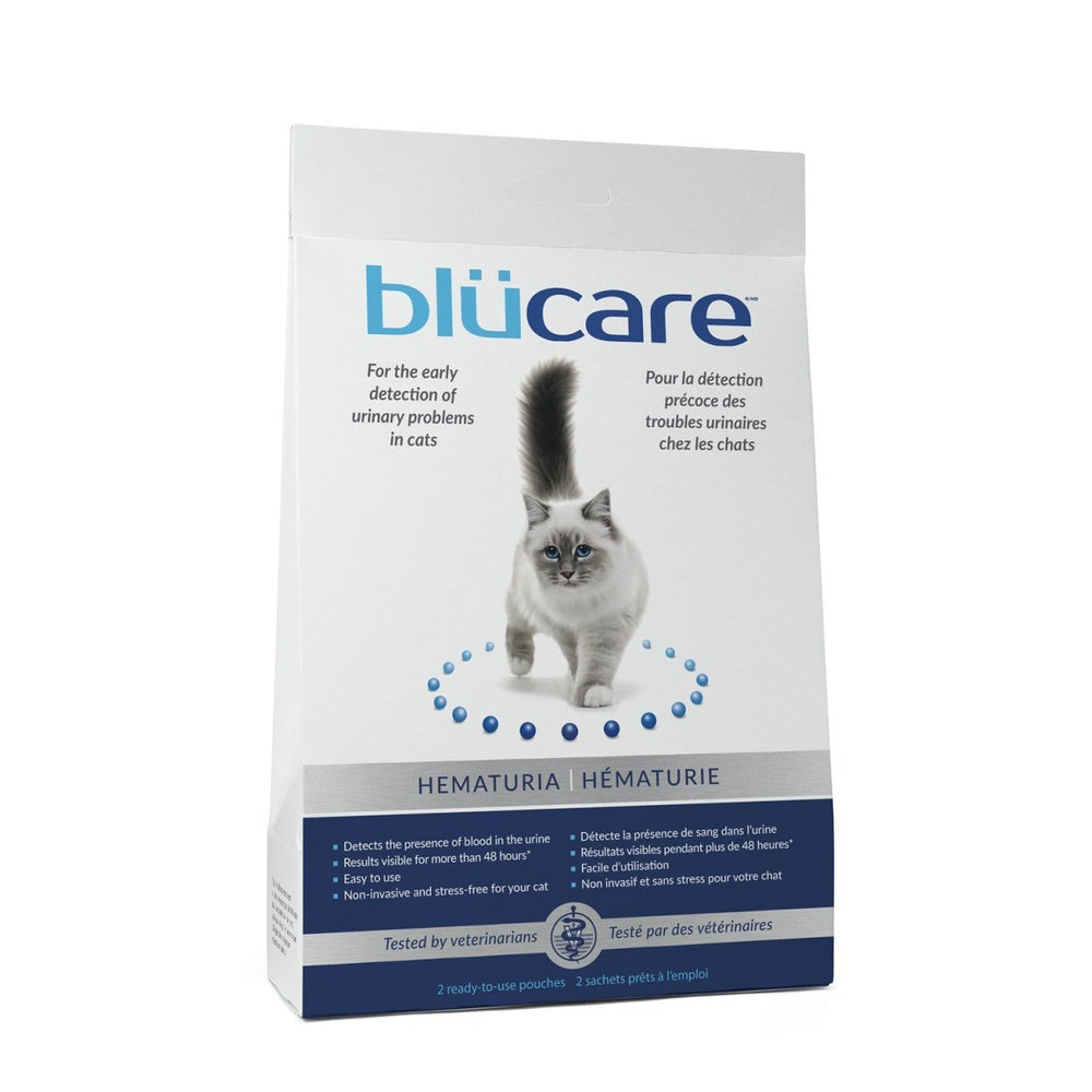 Feline Hematuria test