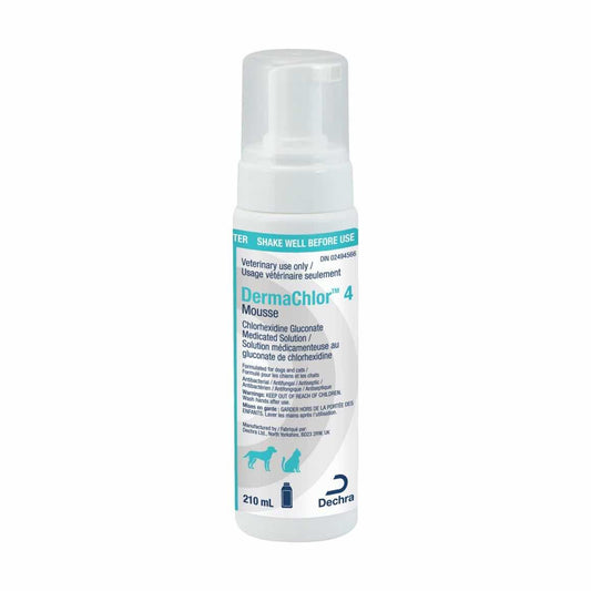 DermaChlor 4 mousse