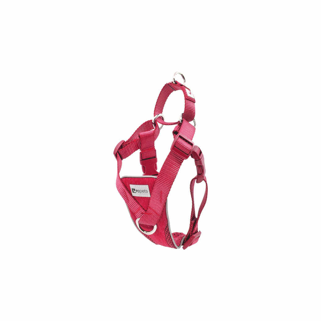 Tempo No Pull Harness