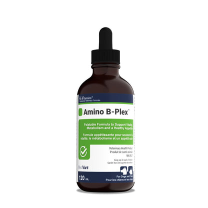 Rx Vitamins Amino B-Plex