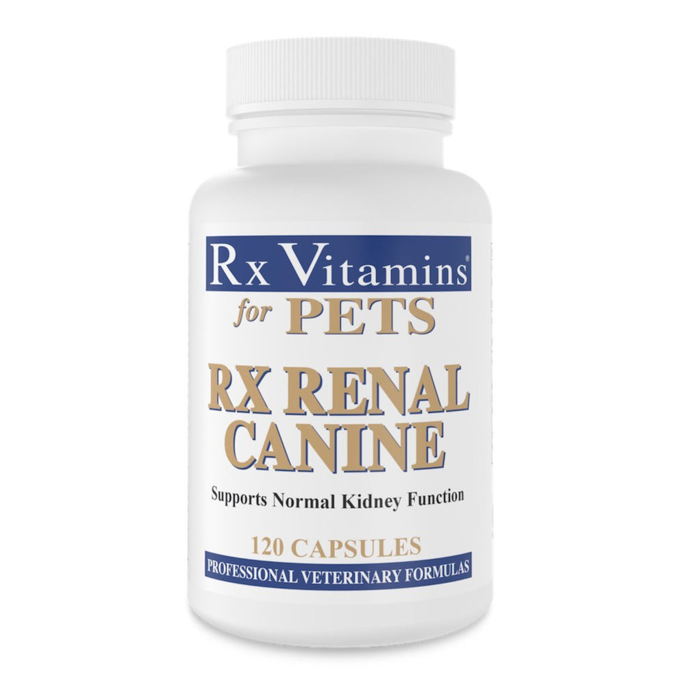 Rx Renal Canine