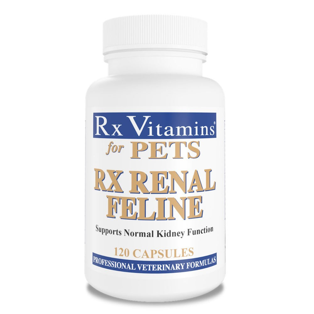 Rx Renal Feline capsules