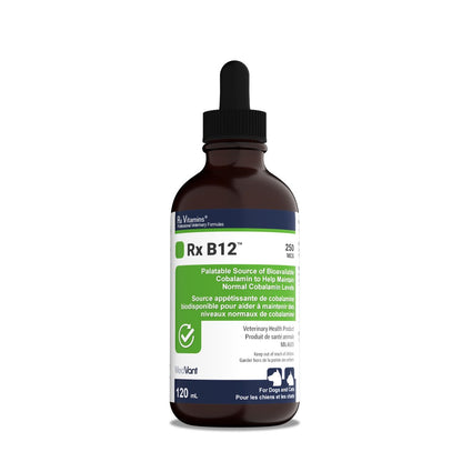 Rx Vitamins Rx B12