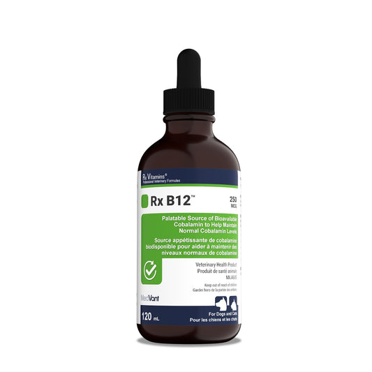 Rx Vitamins Rx B12