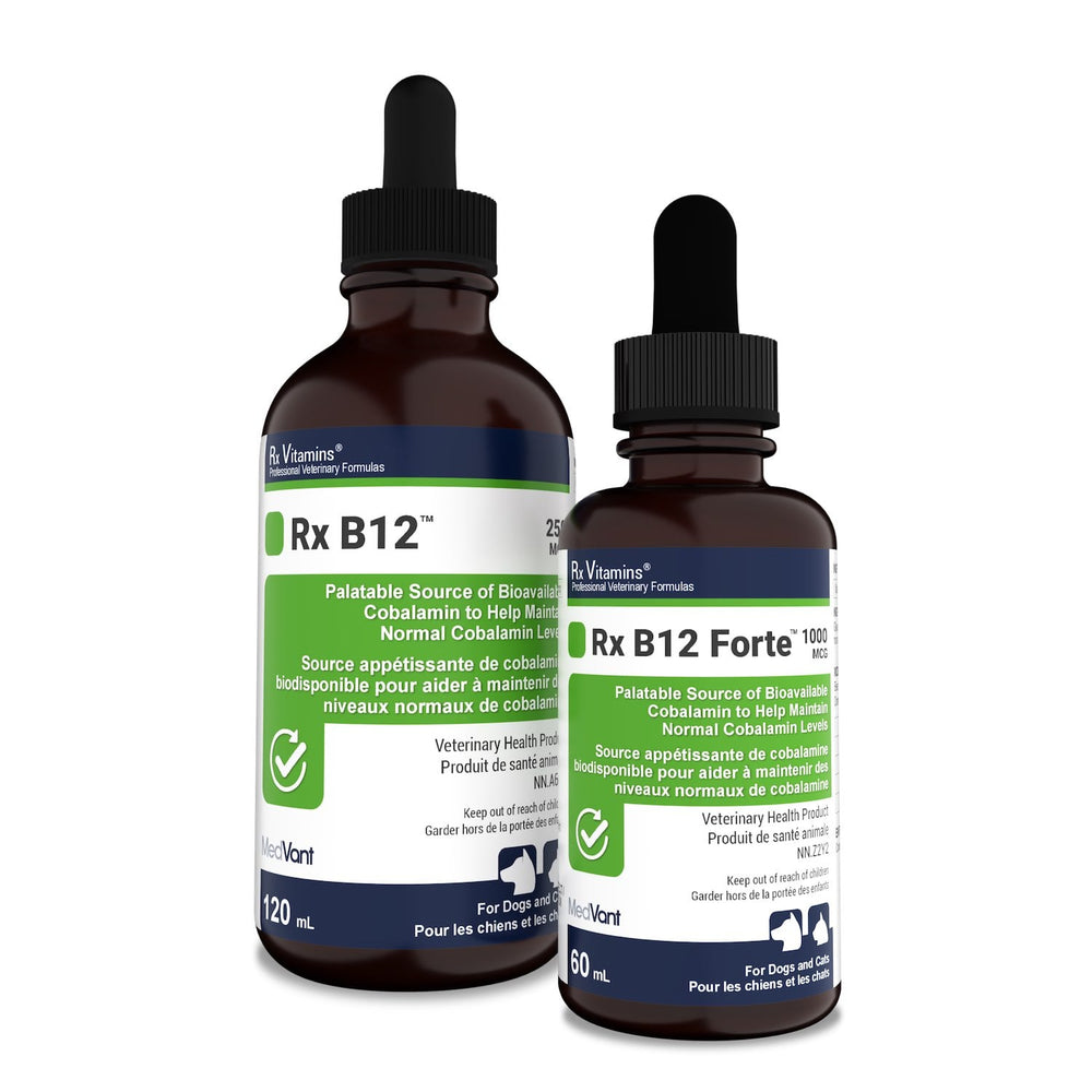 Rx Vitamins Rx B12