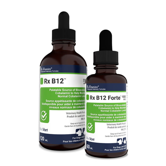 Rx Vitamins Rx B12
