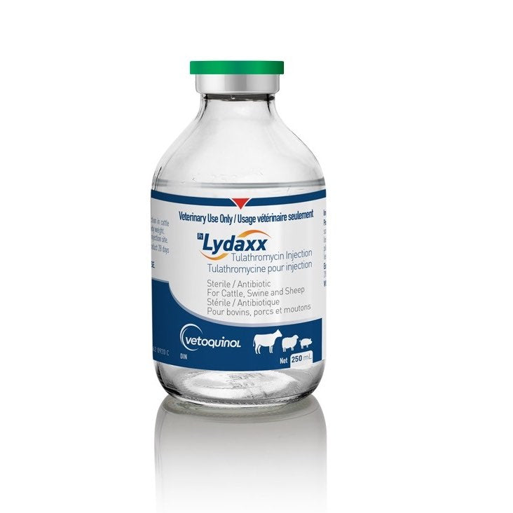 Lydaxx