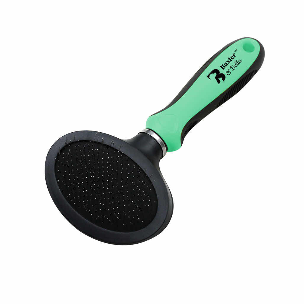 Oval head slicker brush for cats