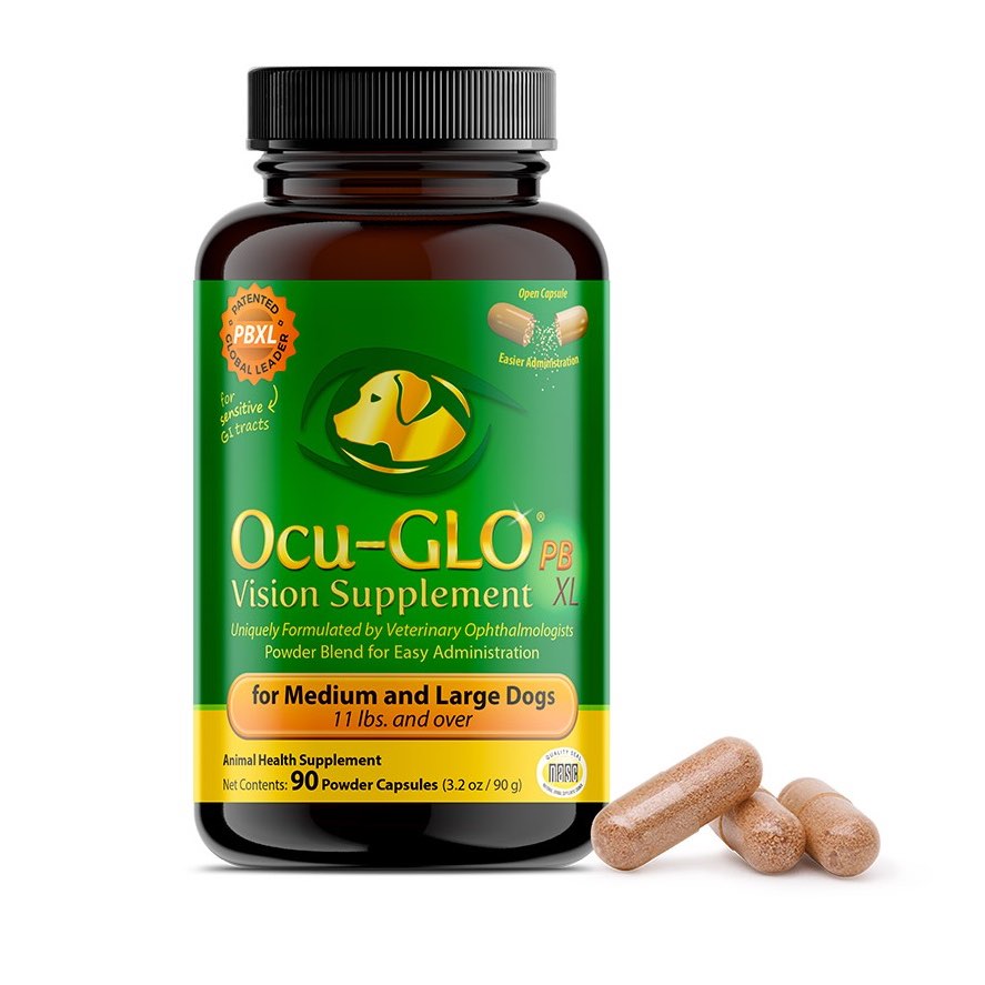 Ocu-GLO PB XL for medium and large dogs