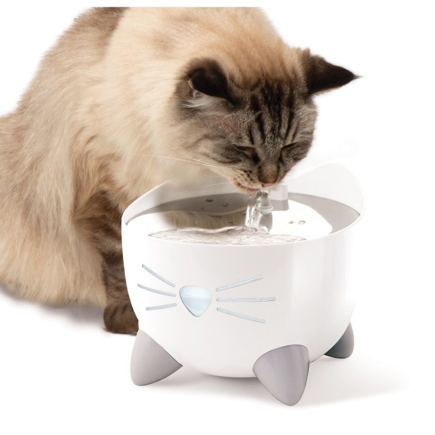 PIXI smart drinking fountain with app