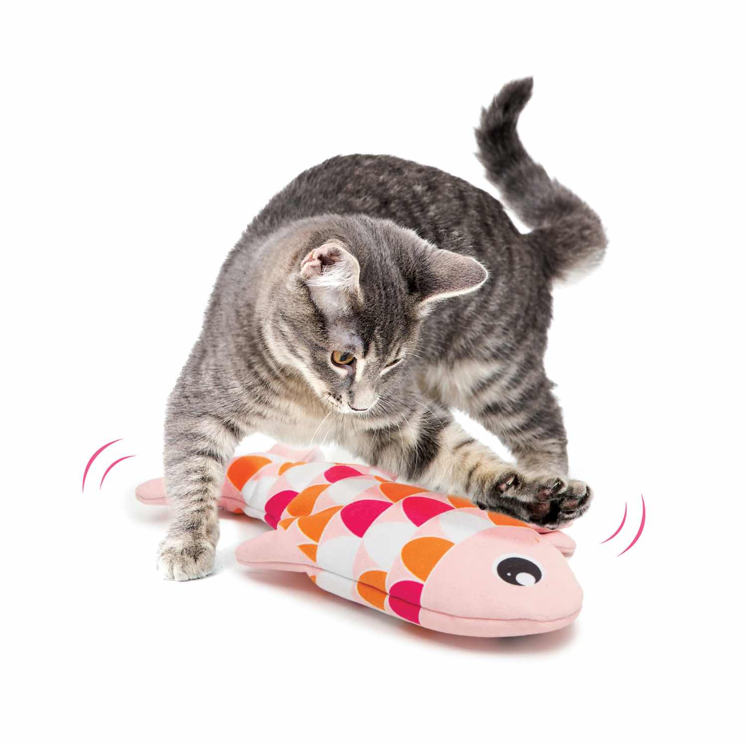Groovy fish toy