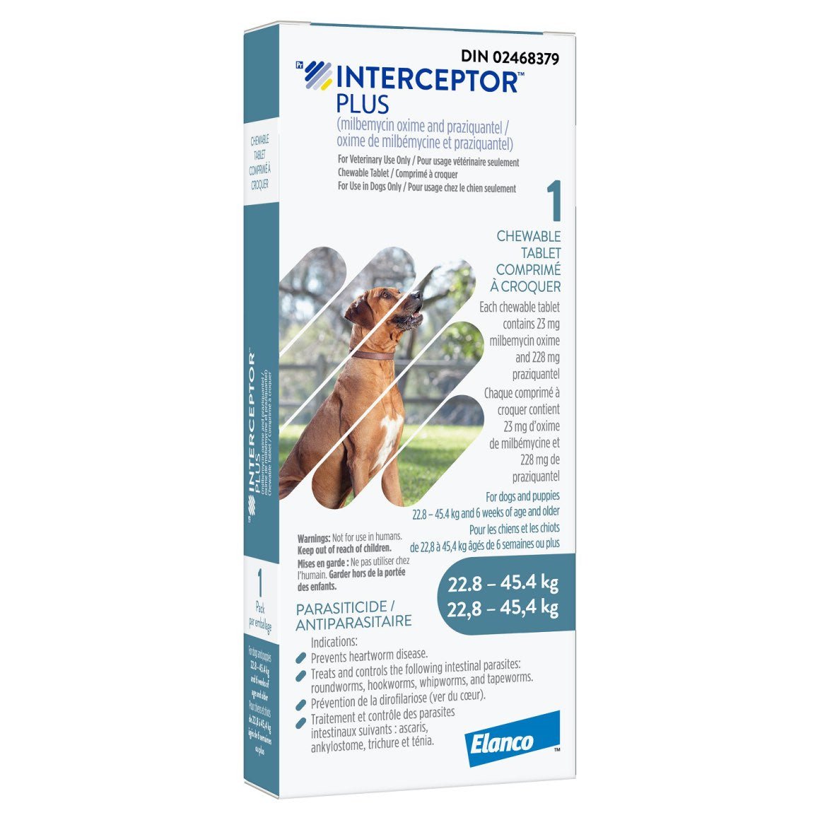 Interceptor Plus chewable tablet
