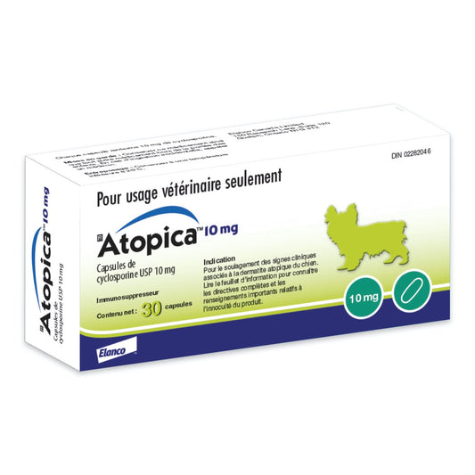 Atopica for Dogs