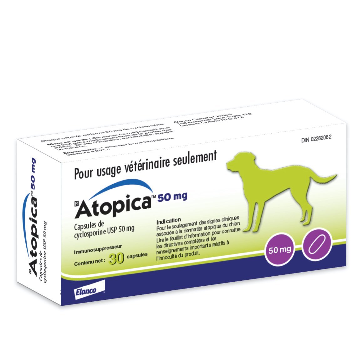 Atopica for Dogs