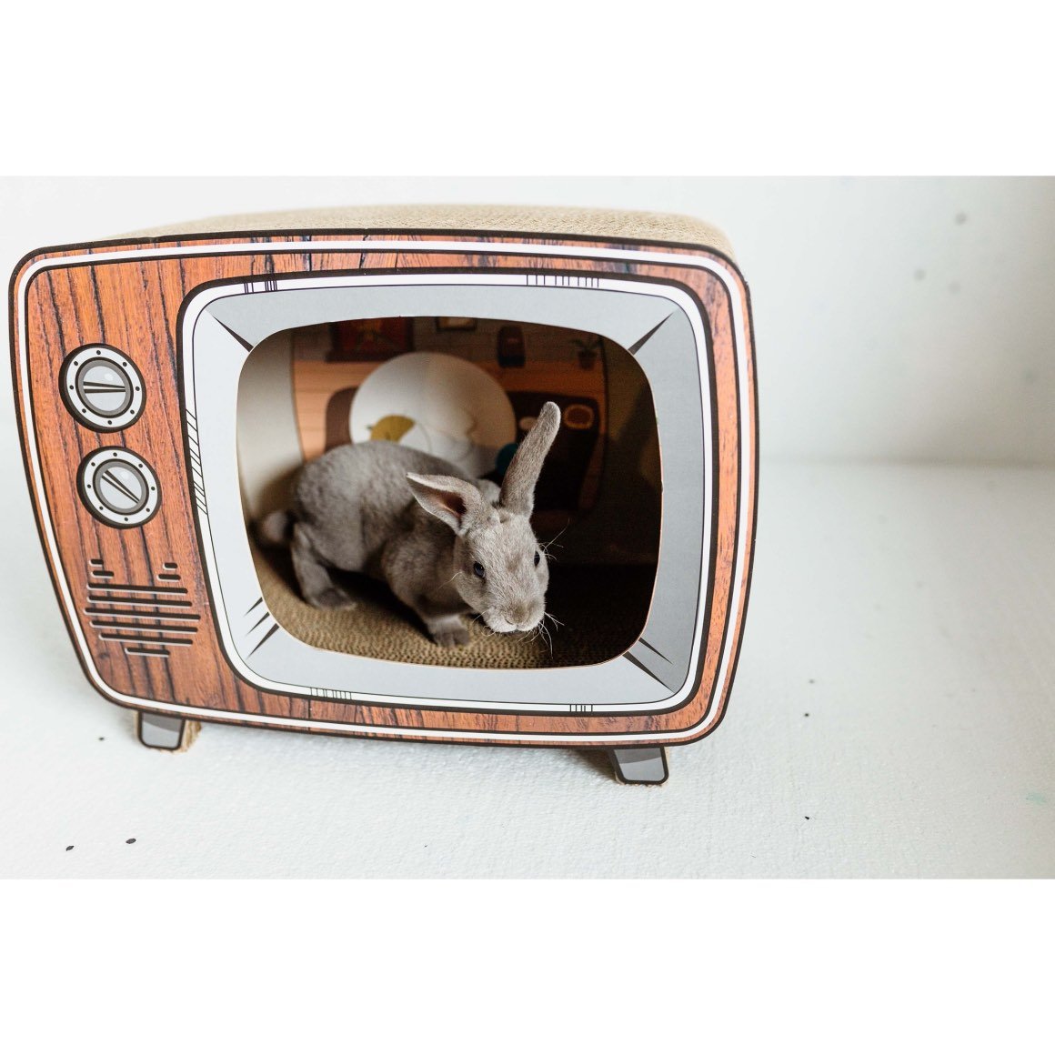 Cardboard TV