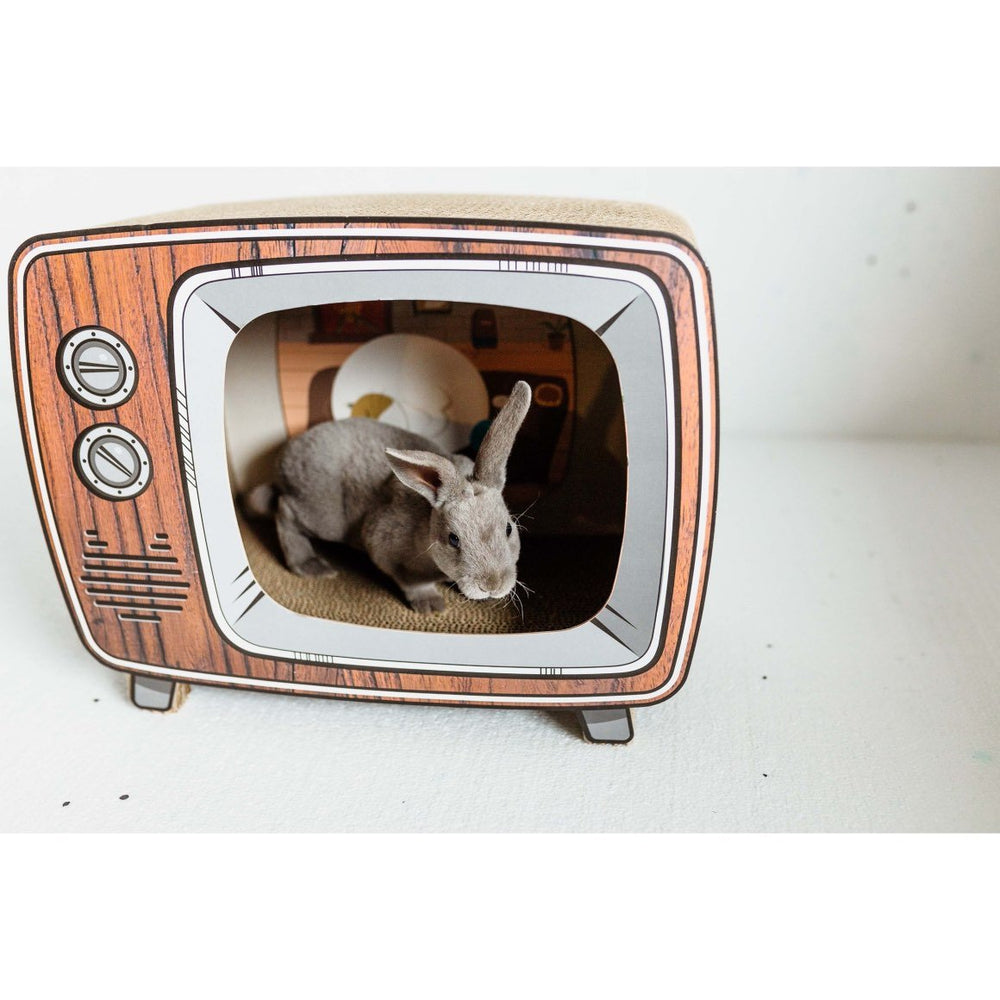 Cardboard TV