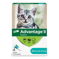 Advantage II for cats