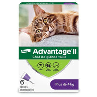 Advantage II for cats