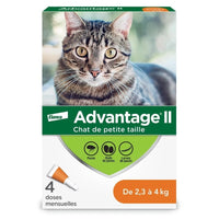 Advantage II for cats