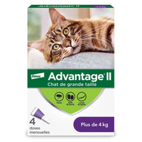 Advantage II for cats