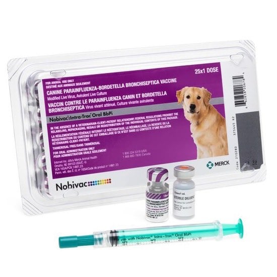 Nobivac canine Intra-Trac oral BbPi