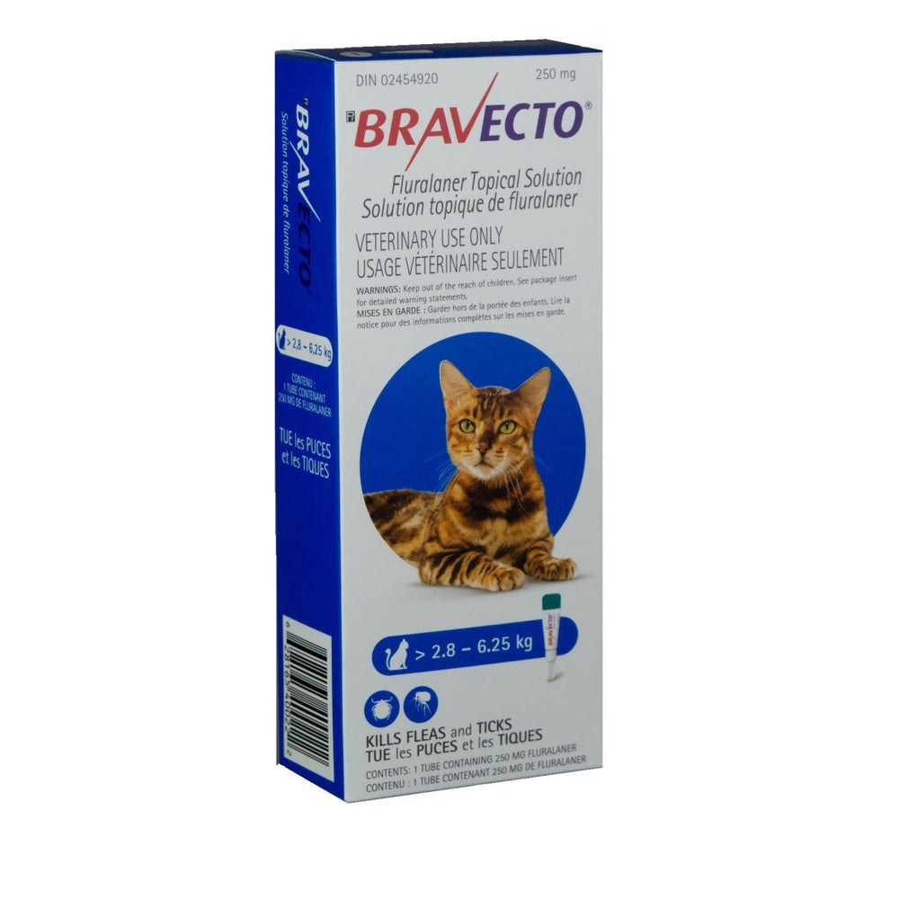 Bravecto topical solution for cats
