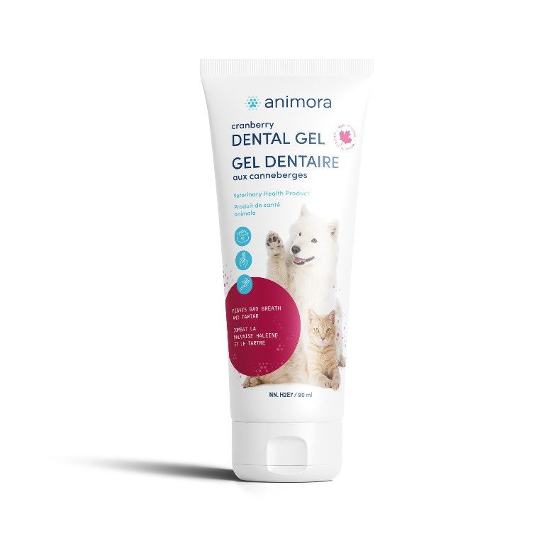 Dental gel