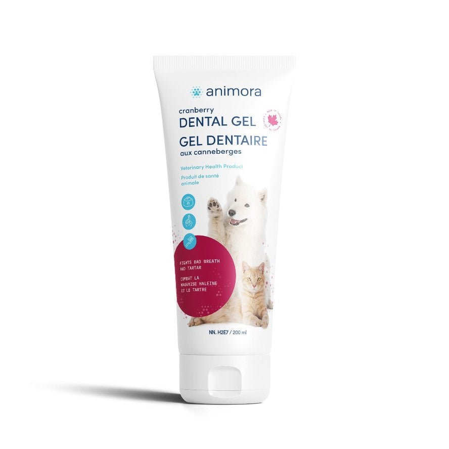 Dental gel