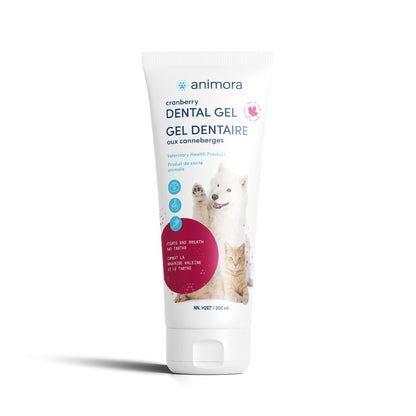 Dental gel