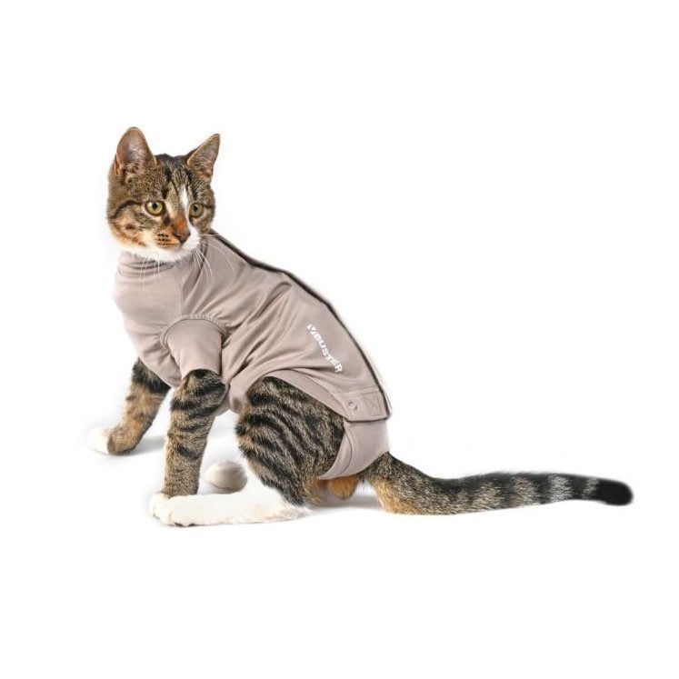 Body suit Buster Step'n Go for cats