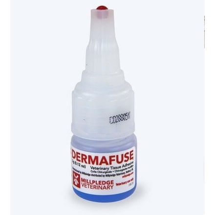Tissue adhesive Dermafuse