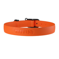Collar waterproof for dogs