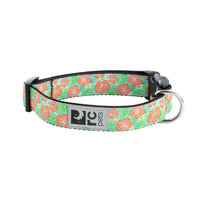 Patterned clip collar for dogs
