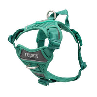 Harness Momentum for dogs
