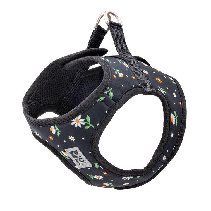 Step In Cirque Harness