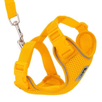 Harness Adventure for cats