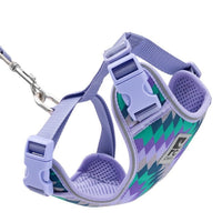 Harness Adventure for cats