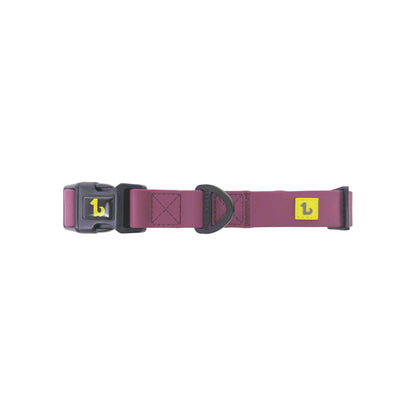 Dog silicone collar