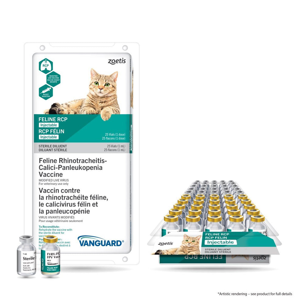 Vanguard feline RCP injectable (with diluent)