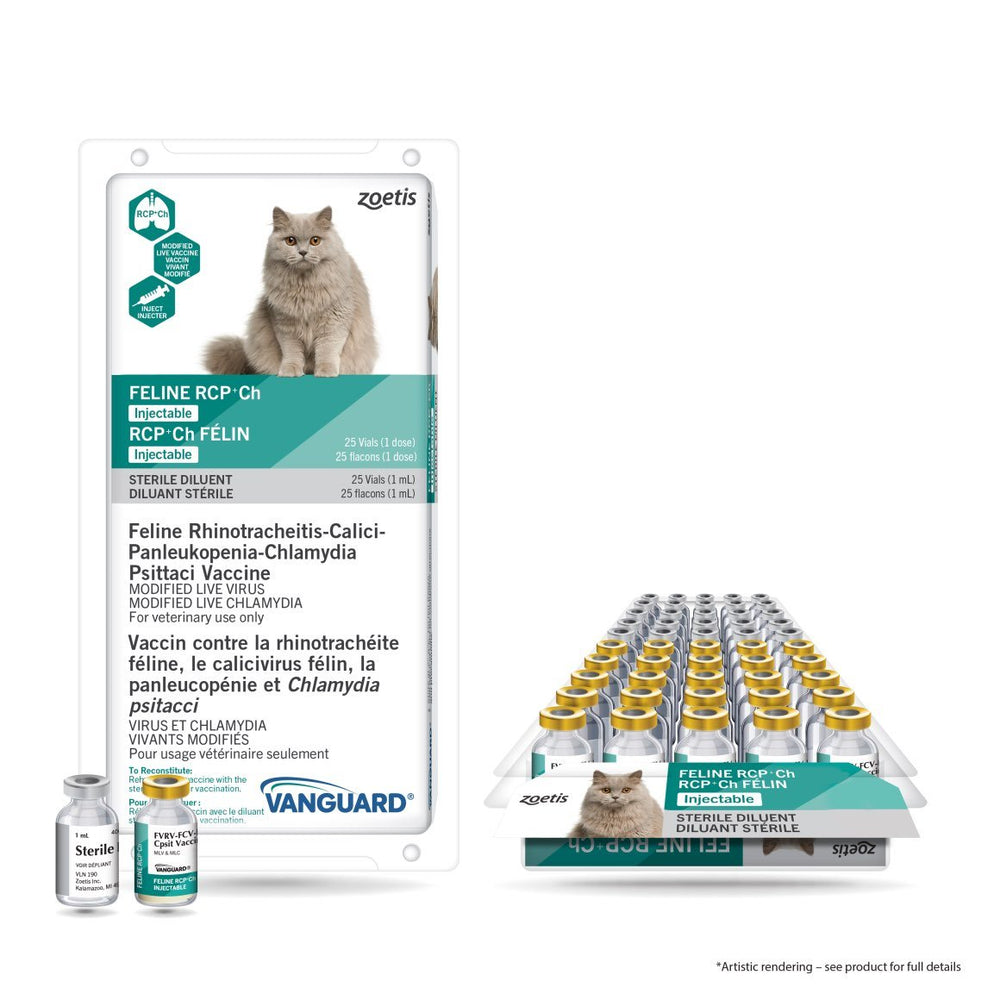 Vanguard Feline RCP+Ch Inj. (with diluent)