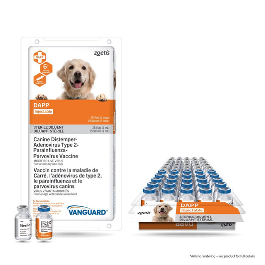 Vanguard DAPP injectable